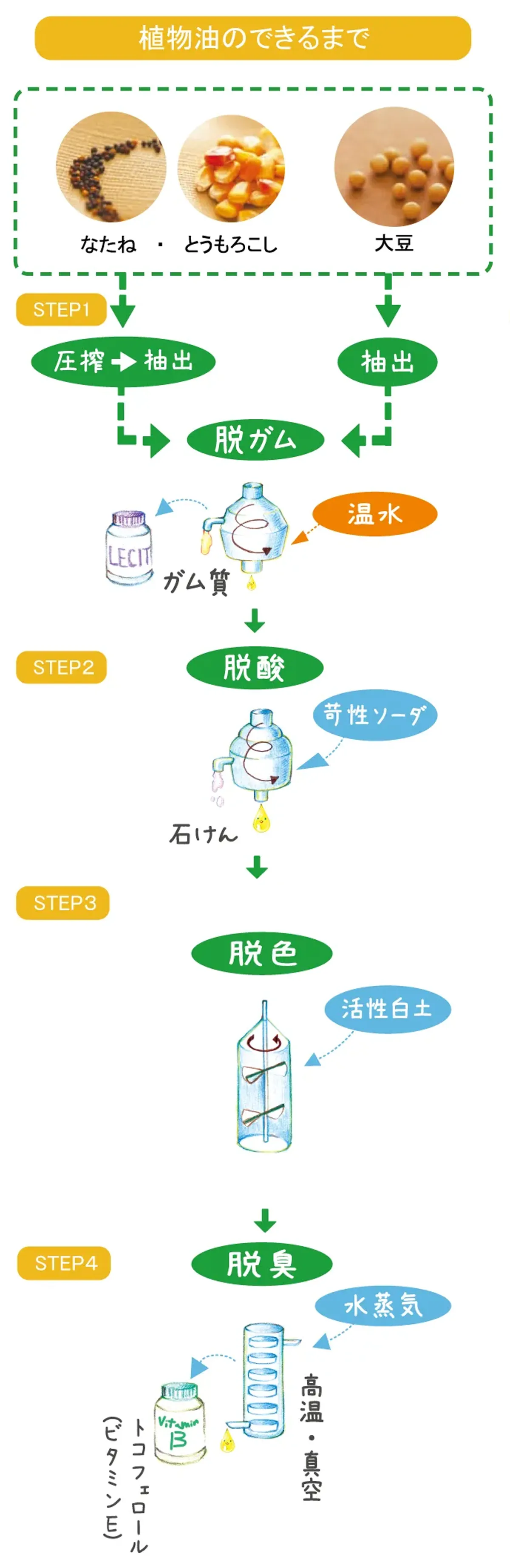出典：一般社団法人日本植物油協会「pichi pichi！うつくしい　元気、植物油」を参考に作成