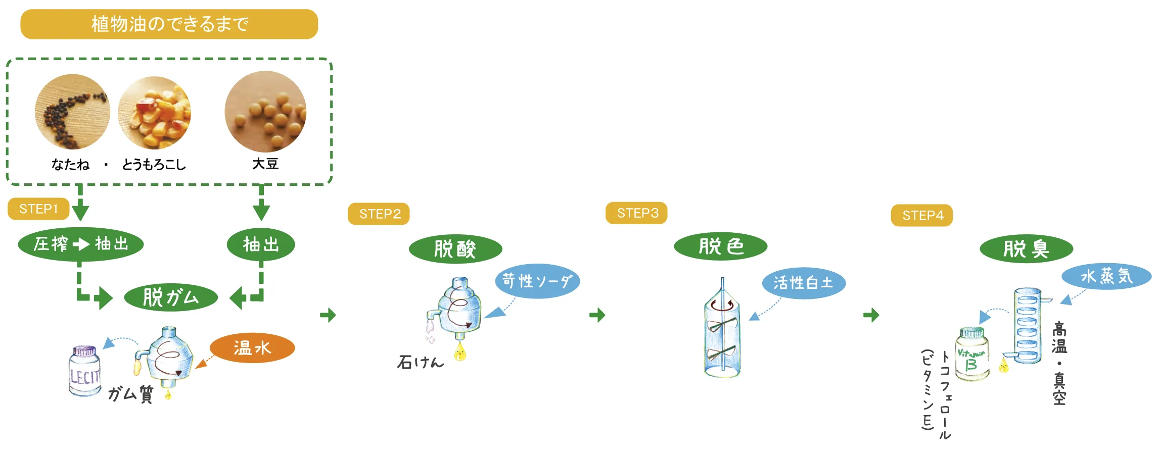出典：一般社団法人日本植物油協会「pichi pichi！うつくしい　元気、植物油」を参考に作成