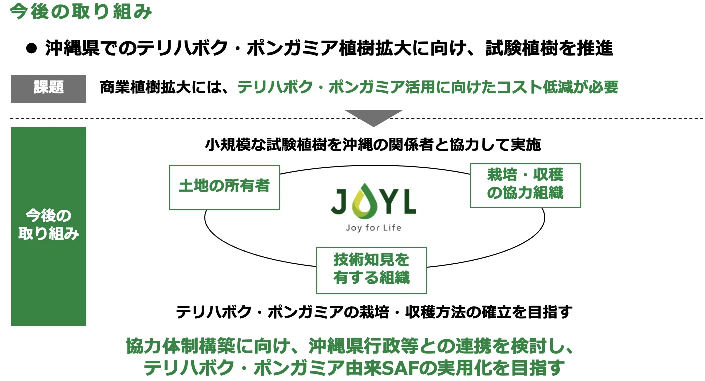 今後の取り組み
