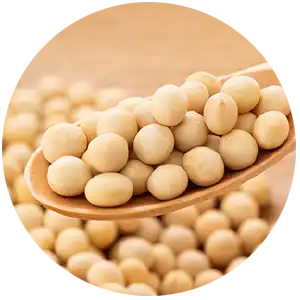 大豆
