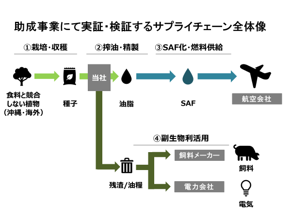 230828_助成事業にて実証・検証するサプライチェーン全体像.png