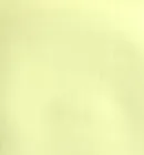ゆずイエロー