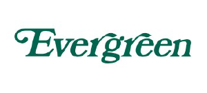 エバーグリーン