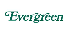 エバーグリーン